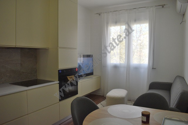 Two bedroom apartment for sale near Ballet School in Tirana, Albania